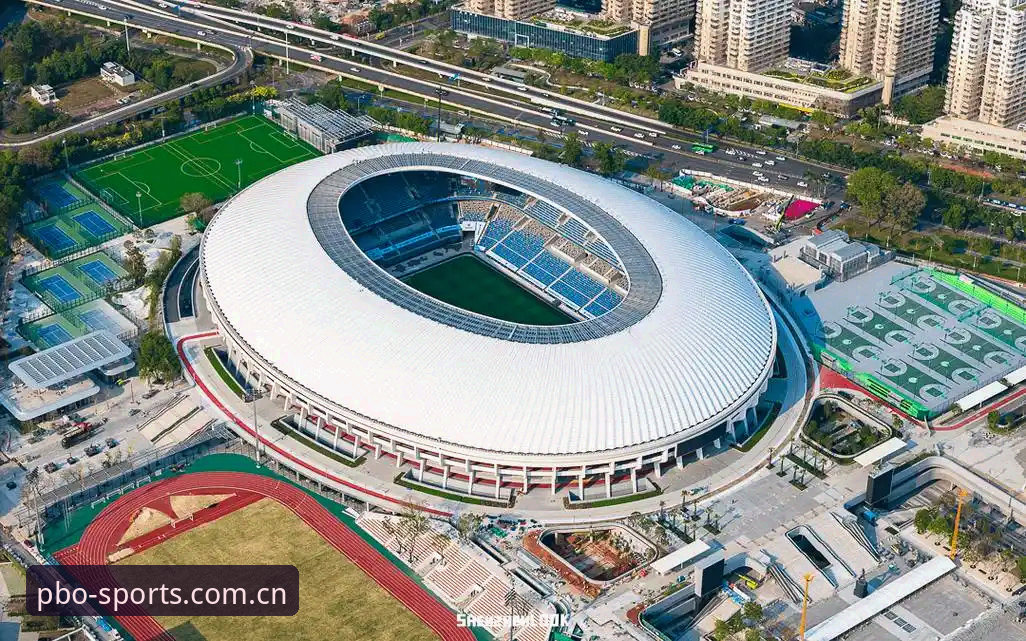 足协第三批禁足名单深度解析：平博体育平台观赛指南与事件全回顾